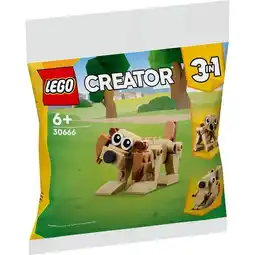 Intertoys LEGO Creator 3-in-1 cadeaudieren 30666 aanbieding