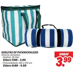 Dekamarkt Koeltas of picknickkleed aanbieding