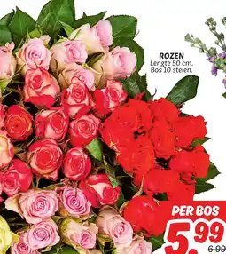 Dekamarkt Rozen aanbieding