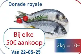 Tanger Markt Dorade royale aanbieding