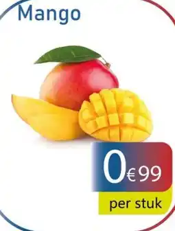 Tanger Markt Mango aanbieding