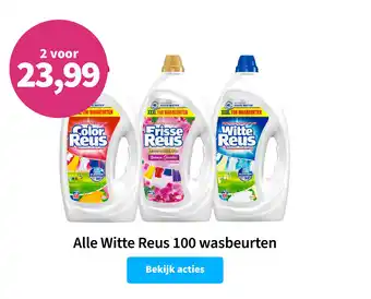 Plein.nl Alle Witte Reus aanbieding