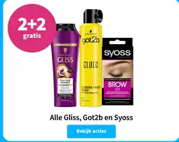 Plein.nl Alle Gliss, Got2b en Syoss aanbieding