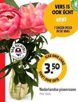 Jumbo Nederlandse pioenrozen aanbieding