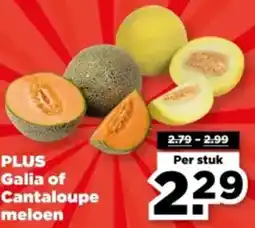 PLUS PLUS Galia of Cantaloupe meloen aanbieding