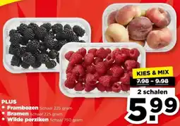 PLUS PLUS Frambozen, Bramen of Wilde perziken aanbieding