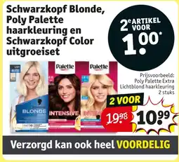 Kruidvat Schwarzkopf Blonde, Poly Palette haarkleuring en Schwarzkopf Color uitgroeiset aanbieding