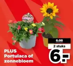 PLUS PLUS Portulaca of zonnebloem aanbieding