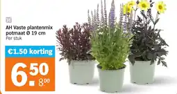 Albert Heijn AH Vaste plantenmix aanbieding