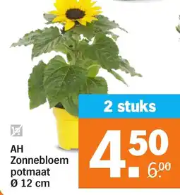 Albert Heijn AH Zonnebloem aanbieding