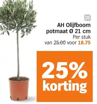 Albert Heijn AH Olijfboom aanbieding