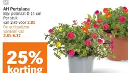 Albert Heijn AH Portulaca aanbieding