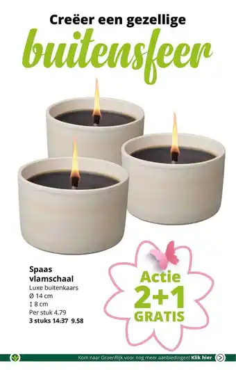 GroenRijk Spaas Vlamschaal Ø 14 Cm, ↕ 8 Cm 2+1 Gratis aanbieding