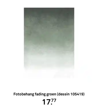 Karwei Fotobehang fading groen aanbieding
