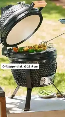 Lidl Kamado aanbieding