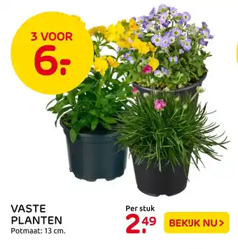 Praxis Vaste Planten aanbieding