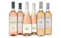 De Wijnbeurs Rosé all day Wijnpakket aanbieding