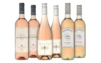 De Wijnbeurs Rosé all day Wijnpakket aanbieding