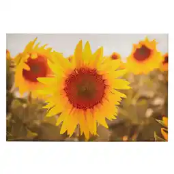 Van Cranenbroek Buitenschilderij 90x60cm zonnebloem aanbieding