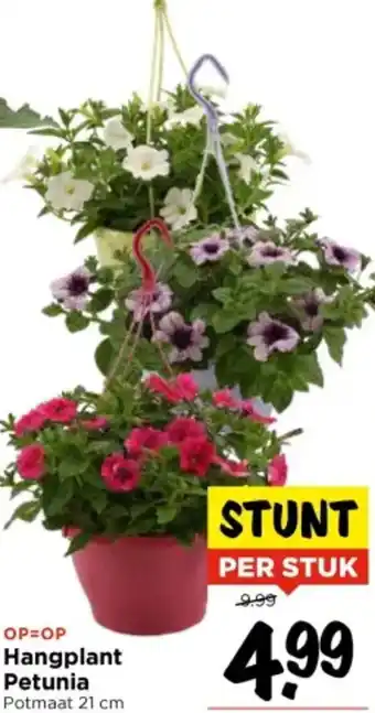 Vomar Voordeelmarkt Hangplant Petunia aanbieding
