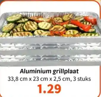 Wibra Aluminium grillplaat aanbieding