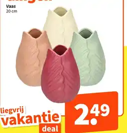 Wibra Vaas aanbieding