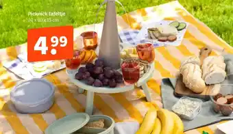 Wibra Picknick tafeltje aanbieding