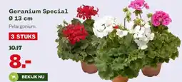 Welkoop Geranium Special Ø 13 cm Pelargonium. aanbieding