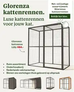 Welkoop Glorenza kattenrennen. aanbieding