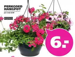 Ranzijn PERKGOED HANGPOT aanbieding