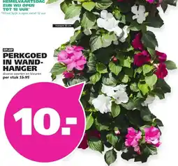 Ranzijn PERKGOED IN WAND- HANGER aanbieding