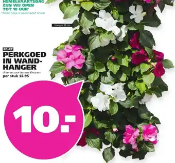 Ranzijn PERKGOED IN WAND- HANGER aanbieding