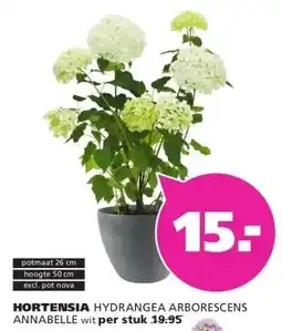 Ranzijn HORTENSIA aanbieding