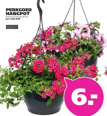 Ranzijn PERKGOED HANGPOT aanbieding