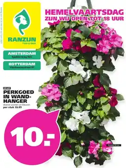 Ranzijn PERKGOED IN WAND- HANGER aanbieding