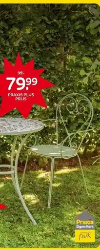 Praxis CENTRAL PARK BISTROTAFEL ROSY aanbieding