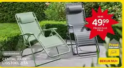 Praxis CENTAL PARK LIGSTOEL ZITA aanbieding