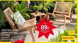 Praxis CENTRAL PARK LOUNGESTOEL ATRANI aanbieding