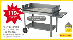 Praxis CENTRAL PARK BBQ & FRIENDS HOUTSKOOL- BARBECUE FLORIDA aanbieding