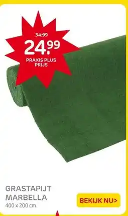 Praxis GRASTAPIJT MARBELLA aanbieding