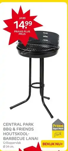 Praxis CENTRAL PARK BBQ & FRIENDS HOUTSKOOL-BARBECUE LANAI aanbieding