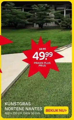 Praxis KUNSTGRAS NORTENE NANTES aanbieding