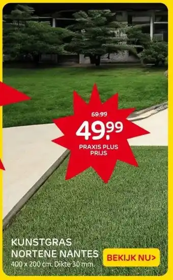 Praxis KUNSTGRAS NORTENE NANTES aanbieding