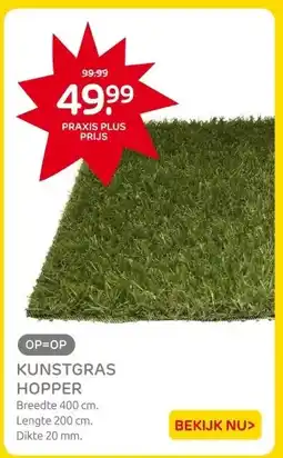 Praxis KUNSTGRAS HOPPER aanbieding