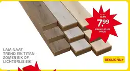 Praxis LAMINAAT TREND EIK TITAN, ZOMER EIK OF LICHTGRIJS EIK aanbieding
