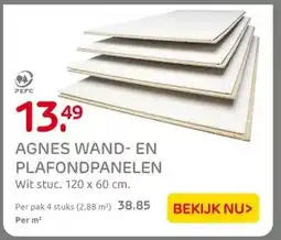 Praxis AGNES WAND- EN PLAFONDPANELEN aanbieding