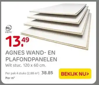Praxis AGNES WAND- EN PLAFONDPANELEN aanbieding