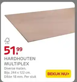 Praxis HARDHOUTEN MULTIPLEX aanbieding