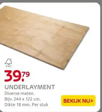 Praxis UNDERLAYMENT aanbieding