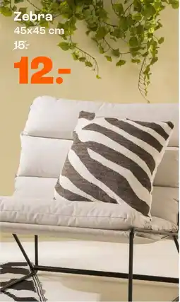 Kwantum Zebra aanbieding